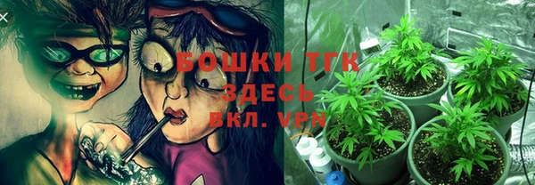 ECSTASY Медногорск