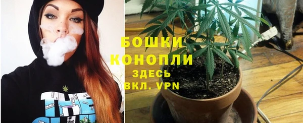ECSTASY Медногорск
