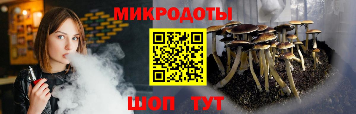 Псилоцибиновые грибы Psilocybe Ярославль