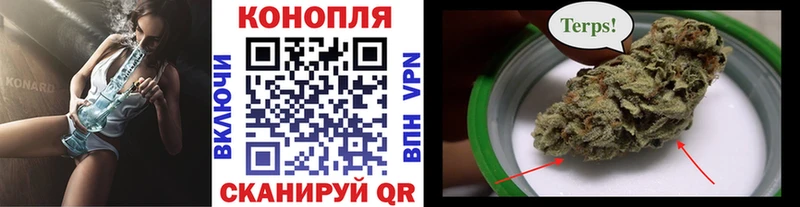 закладки Ярославль Конопля ГИДРОПОН